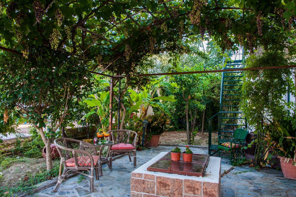 Zante Nest Studios & Apartments Alykanas  Exterior photo